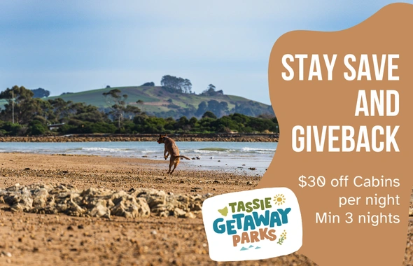 EDM TGP TILES 590x380 9