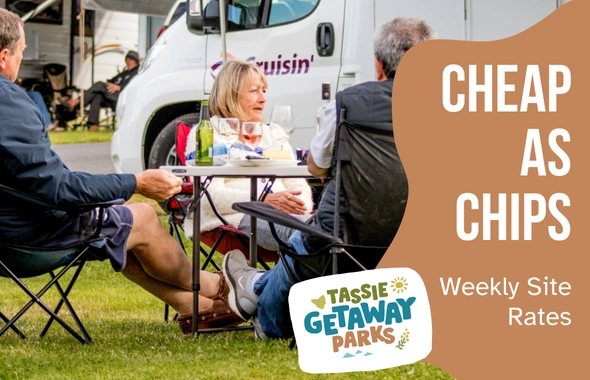 EDM TGP TILES 590x380 19