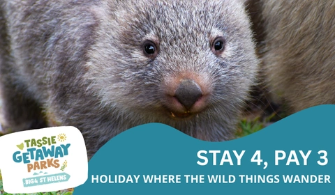 TGP website deals cards 480 x 280 px 22