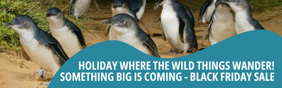 New Website headers 1920 x 600 px