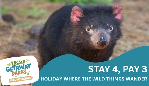 TGP website deals cards 480 x 280 px 23