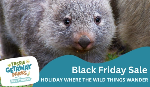 TGP website deals cards 480 x 280 px 24