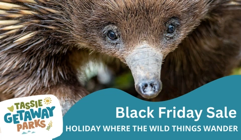 TGP website deals cards 480 x 280 px 25