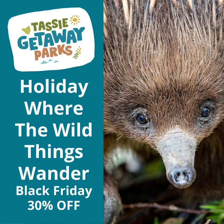 320x320 Sq IHOS Promo 4