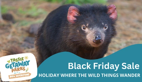 TGP website deals cards 480 x 280 px 26