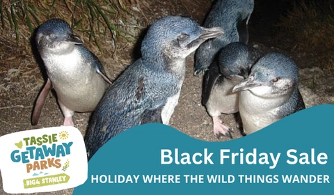 TGP website deals cards 480 x 280 px 27