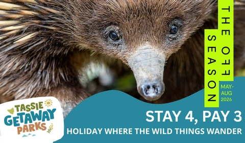 TGP website deals cards 480 x 280 px 28