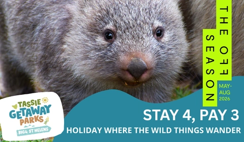 TGP website deals cards 480 x 280 px 29