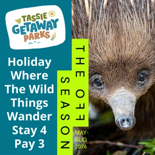 320x320 Sq IHOS Promo 1