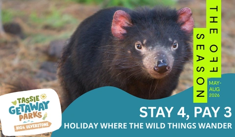 TGP website deals cards 480 x 280 px 31