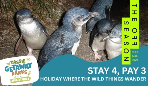 TGP website deals cards 480 x 280 px 30