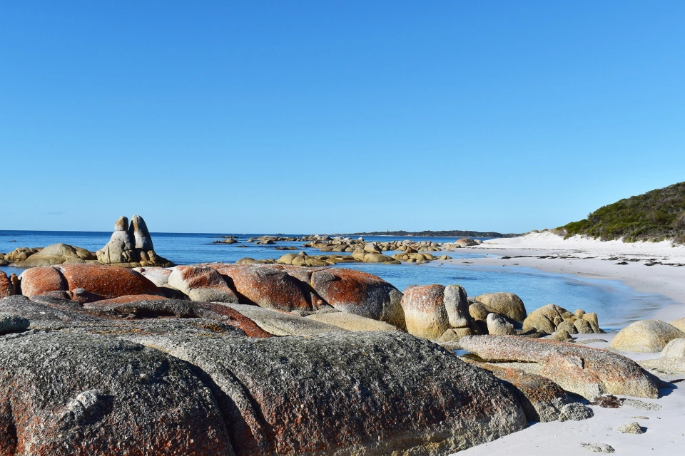 HERO Mt William NP 1