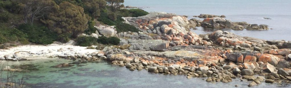 St Helens Point and Beerbarrel Beach Walk
