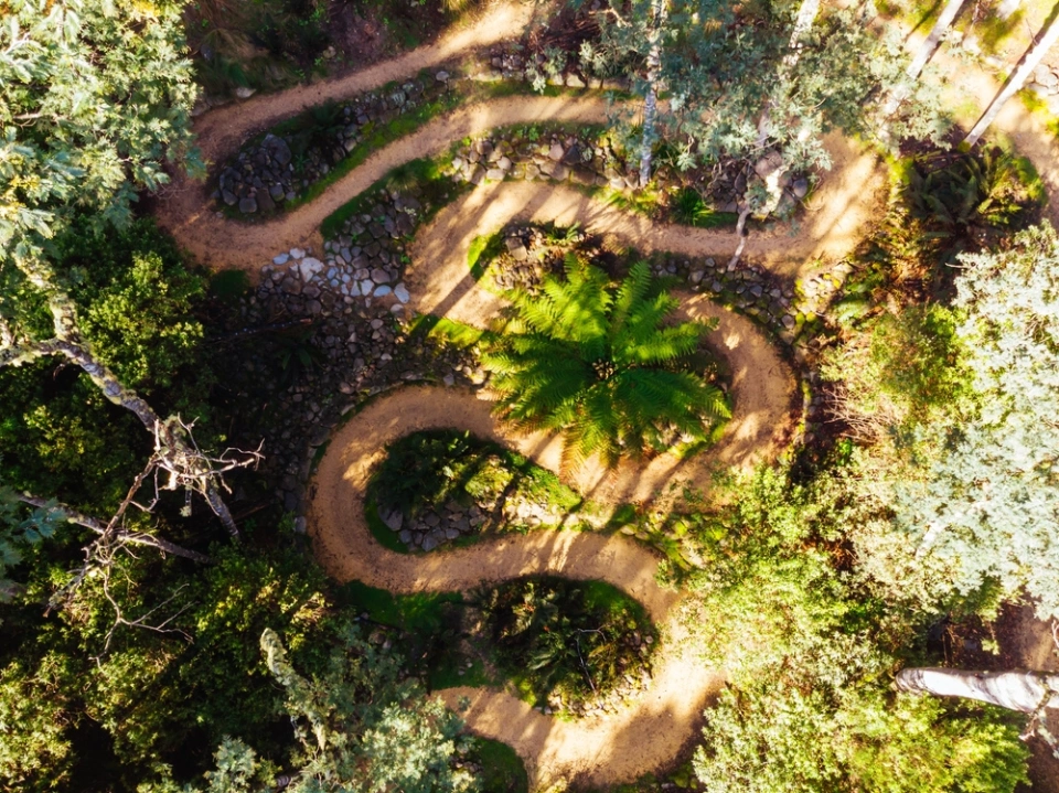 Derby trails tasmania MTB