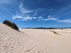 Peron dunes