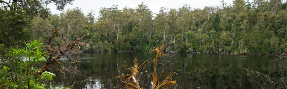 New Website headers 1920 x 600 px 58