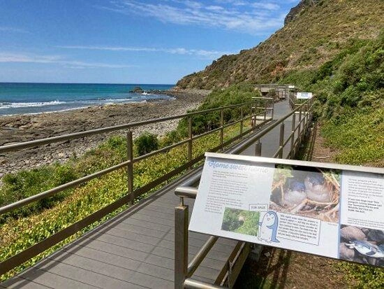 Penguin viewing platform