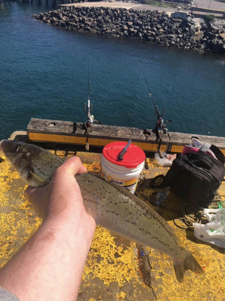 Fishing 2