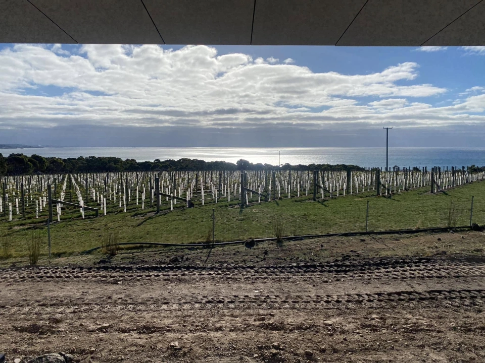 Lanigans Cafe Winery