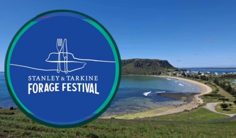 TGP website deals cards 480 x 280 px 32