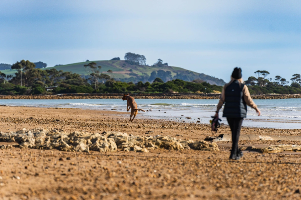 Ulverstone 177