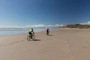 Cyclists on Ocean Beach Jason Futrill 129740 300x200