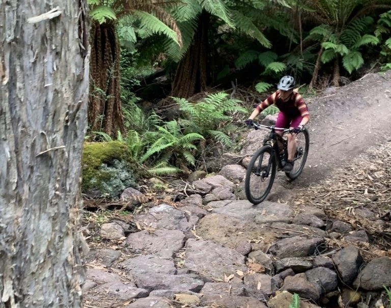 Penguin mountain bike 22